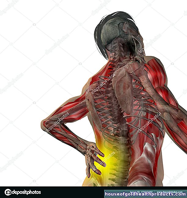 анатомия - Анатомията на човека
