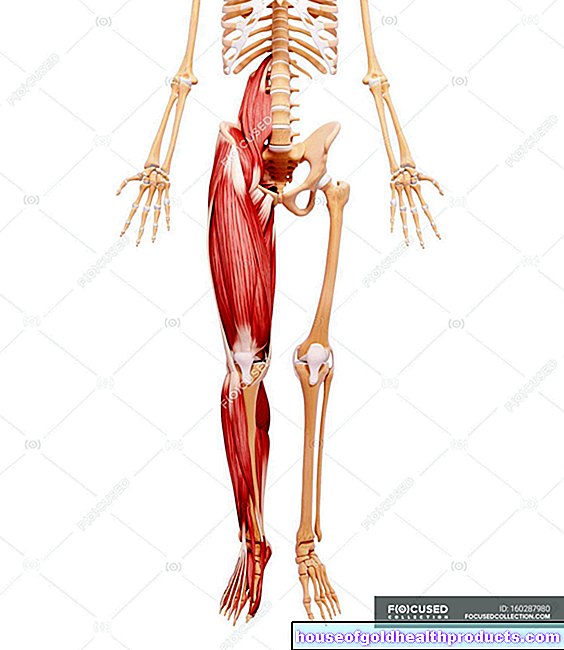 Mięśnie nóg
