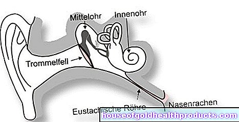 Eustachova trubice