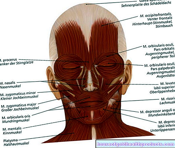 Muscoli facciali