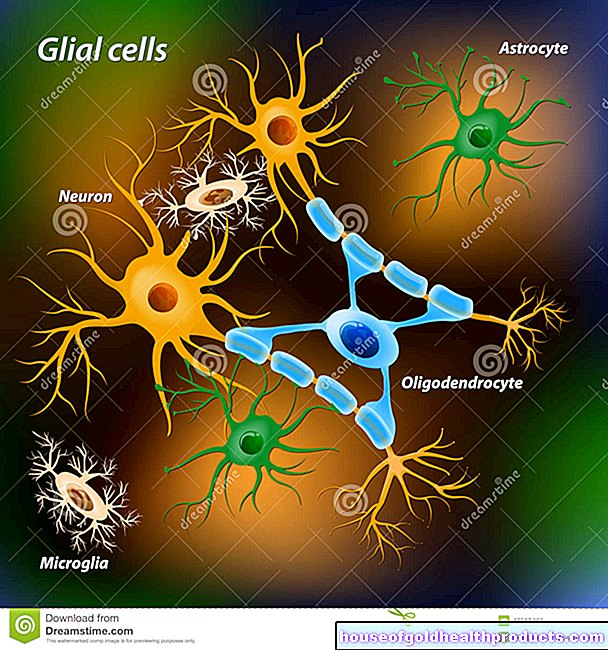 Глиальные клетки