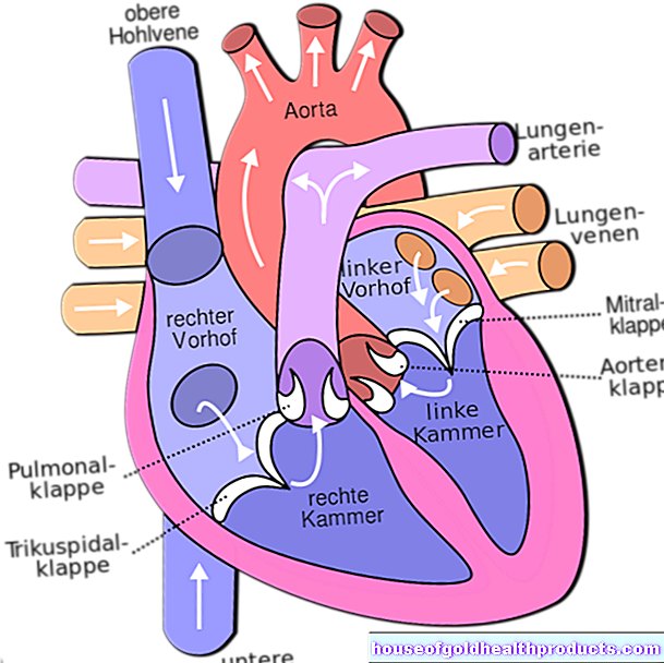Главна артерия