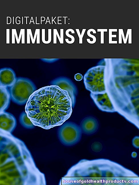 anatomie - système immunitaire