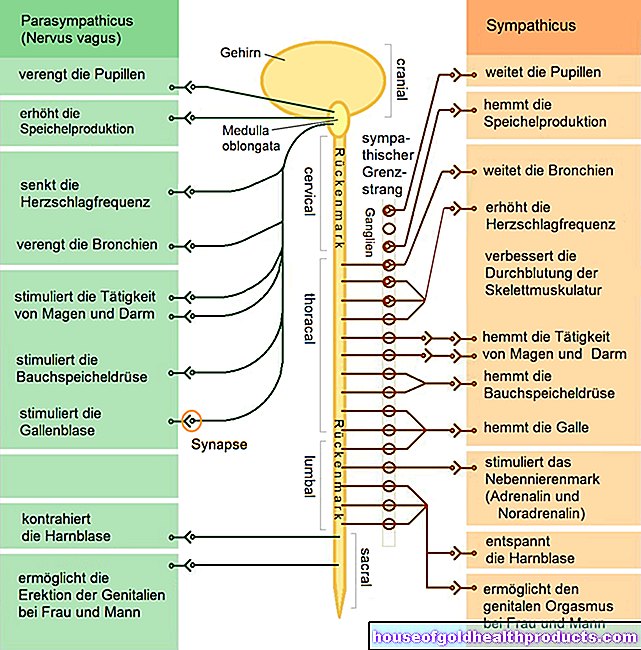 Аутономни нервни систем