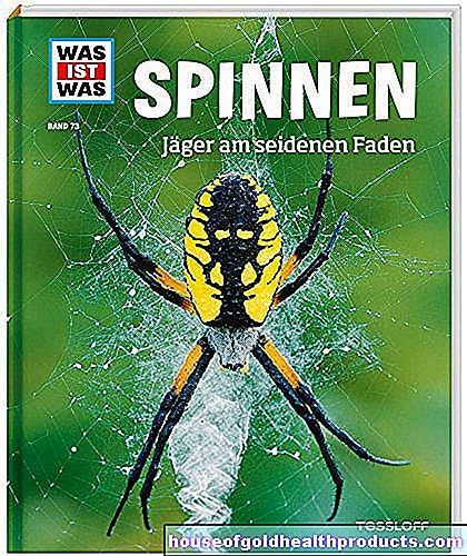 boekentip - Boekentip: maak een einde aan de spinnenfobie!