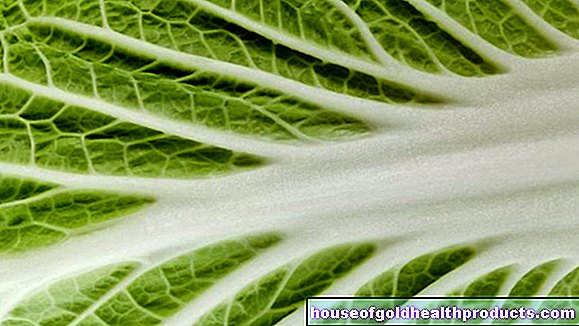 Zelenina, ktorá vás udrží v zdraví: top 10