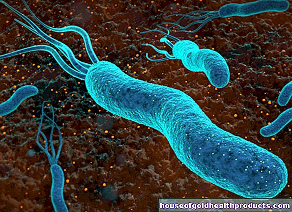 bakterijų