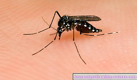 La fièvre de la dengue