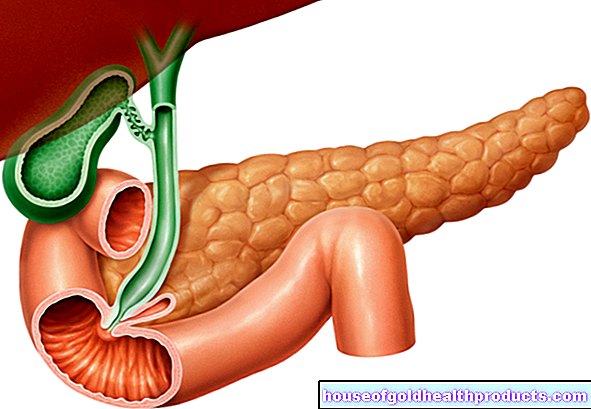Il pancreas sulla cintura