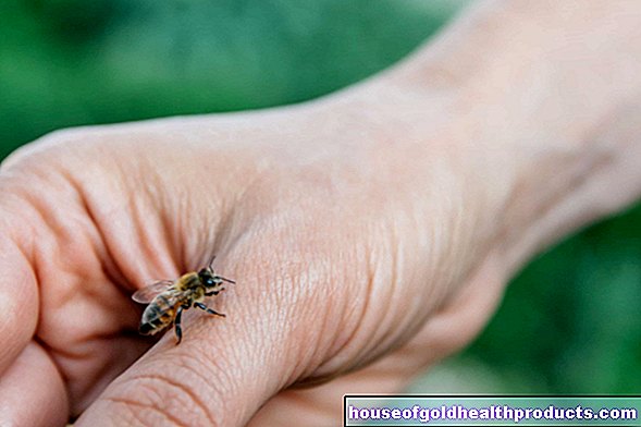 Аллергия на яд насекомых