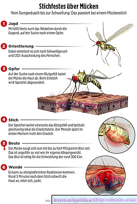 Kan mygg overføre koronaviruset?