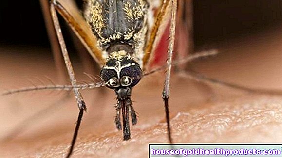 Malaaria: Parasiit kutsub sääsetoksi keha lõhna järgi