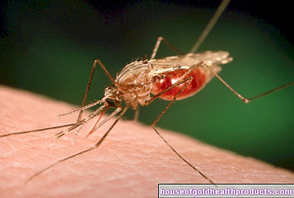 malária