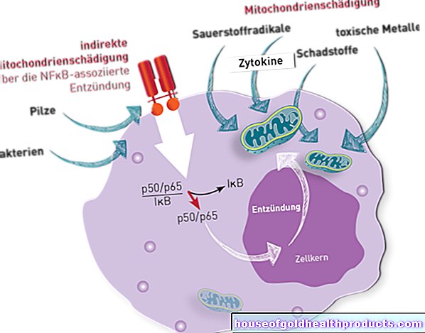 Mitochondriální nemoc