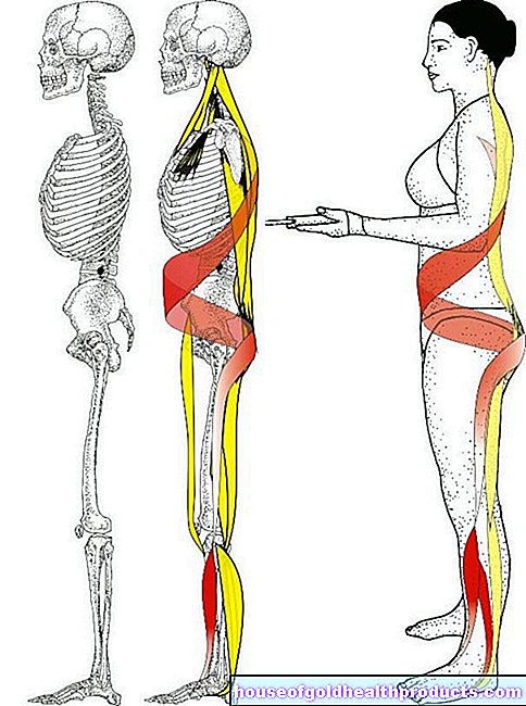 Bolesti chrbta: Kombinovaná terapia svalov a psychiky