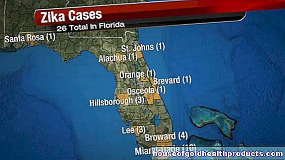 Zika di Florida: peringatan perjalanan untuk wanita hamil