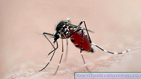 Wirus Zika - powinieneś o tym wiedzieć