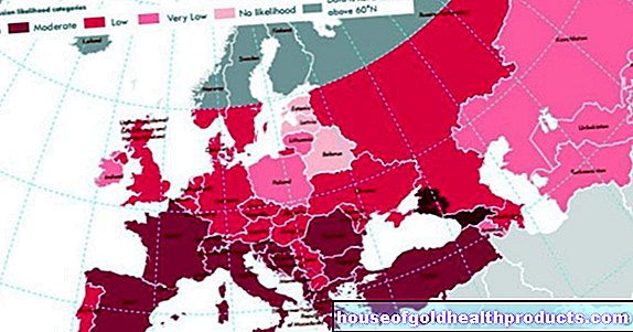 ジカウイルスはヨーロッパに広がる可能性があります