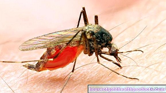Zika-virus: nieuwe bevindingen