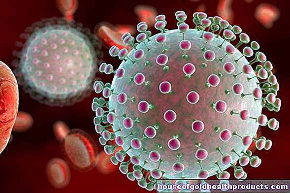 Zikavirus: 'snel en slagvaardig handelen'