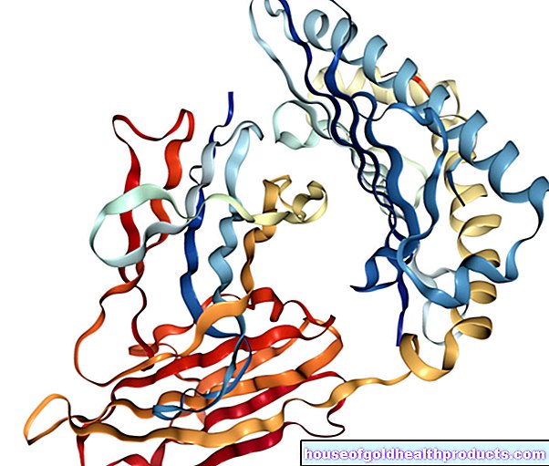 قيم المختبر - ألفا فيتوبروتين