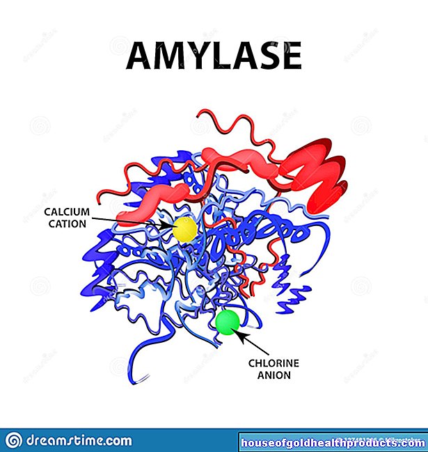 laboratorní hodnoty - Amyláza