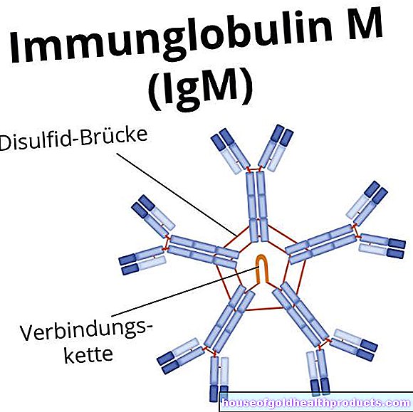 Immunglobulin M