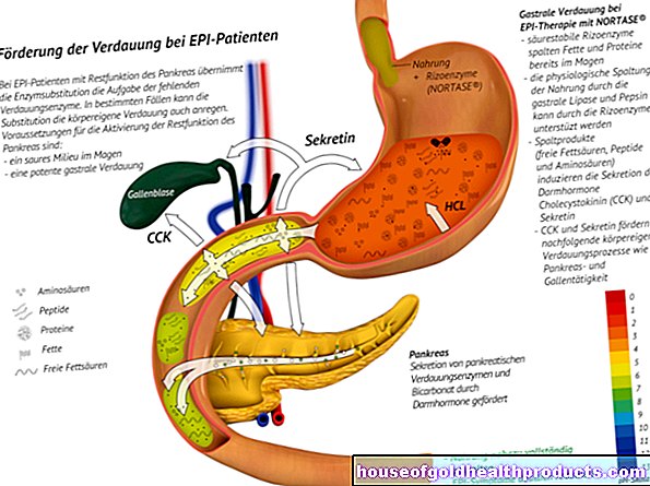 Enzimi pancreatici