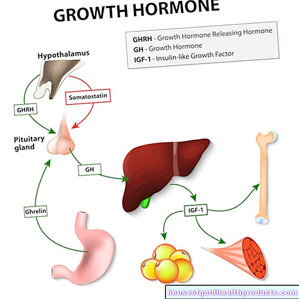 Hormon pertumbuhan (GH)