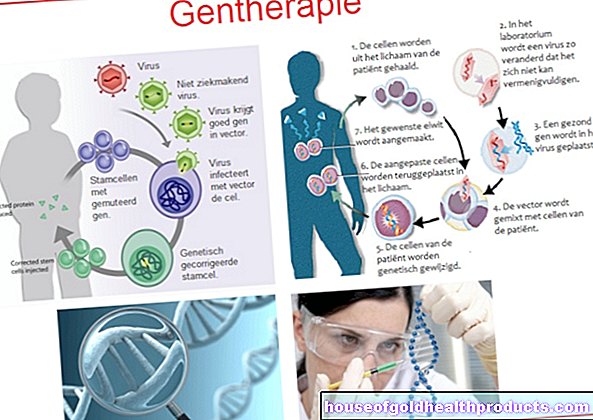 časopis - Genová terapie - záplatovaný genom