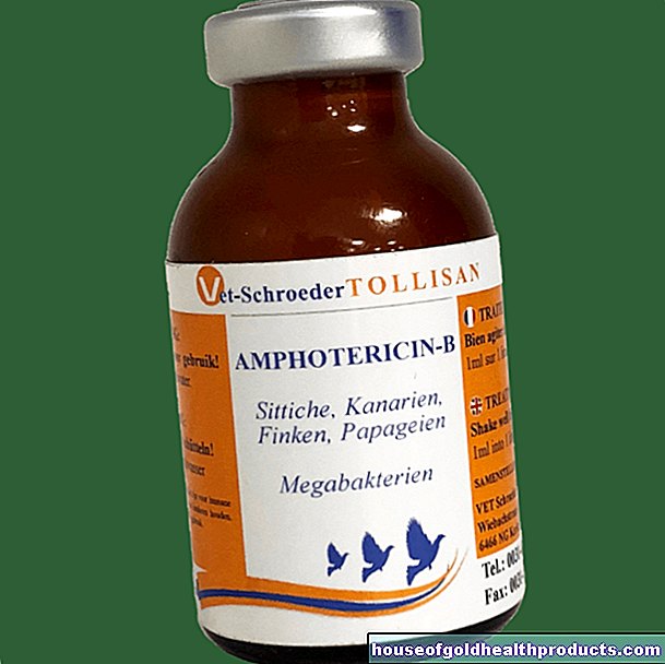 אמפוטריצין ב