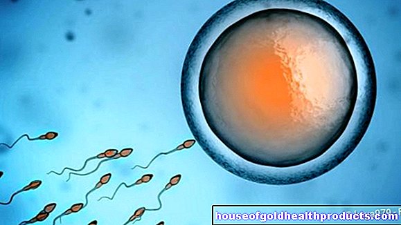 zdravie mužov - Impotencia: mizerná sperma, predčasná smrť