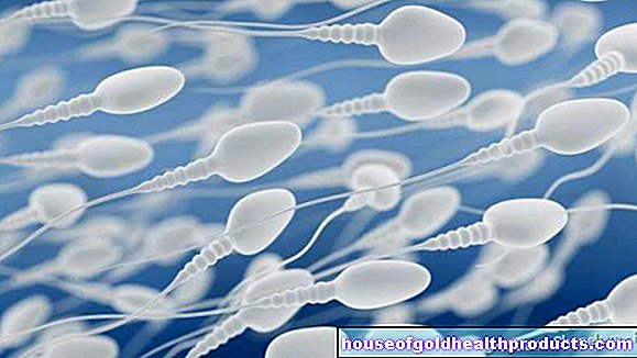 la santé des hommes - Le plastique prive le sperme de sa force
