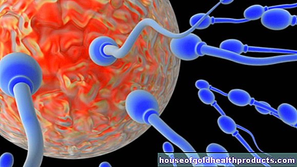 salud de los hombres - Esperma en mal estado por pesticidas